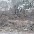  Land for sale in Miacatlan, Morelos, Miacatlan