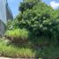  Land for sale in Miacatlan, Morelos, Miacatlan