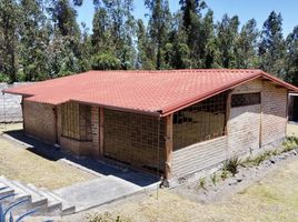 3 Schlafzimmer Villa zu verkaufen in Cotacachi, Imbabura, Cotacachi, Cotacachi