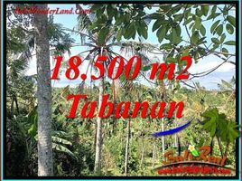  Tanah for sale in Selemadeg, Tabanan, Selemadeg