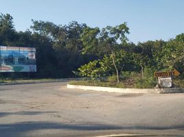  Grundstück zu verkaufen in Cozumel, Quintana Roo, Cozumel