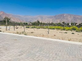  Terreno (Parcela) en venta en Salta, Cafayate, Salta