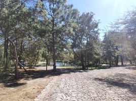  Grundstück zu verkaufen in Tapalpa, Jalisco, Tapalpa