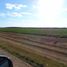  Land for sale in Tekax, Yucatan, Tekax