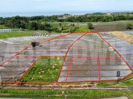  Land for sale in Selemadeg, Tabanan, Selemadeg