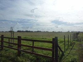  Grundstück zu verkaufen in Roque Gonzales, Rio Grande do Sul, Rincao Vermelho, Roque Gonzales, Rio Grande do Sul