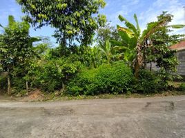  Land for sale in Sedayu, Bantul, Sedayu