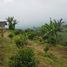  Land for sale in Malang Regency, East Jawa, Bumiaji, Malang Regency