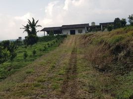  Land for sale in Malang Regency, East Jawa, Bumiaji, Malang Regency