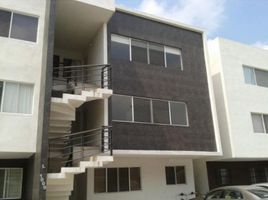 2 Schlafzimmer Wohnung zu vermieten in Monterrey, Nuevo Leon, Monterrey
