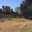  Land for sale in La Barca, Jalisco, La Barca