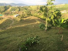  Land for sale in Pereira, Risaralda, Pereira