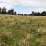 Land for sale in Balcarce, Buenos Aires, Balcarce