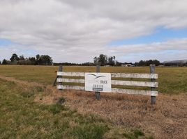  Land for sale in Balcarce, Buenos Aires, Balcarce