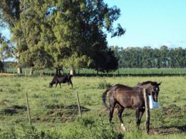  Terrain for sale in Lujan, Buenos Aires, Lujan