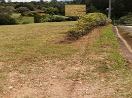  Grundstück zu verkaufen in Rionegro, Antioquia, Rionegro, Antioquia, Kolumbien