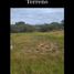  Land for sale in Mazatepec, Morelos, Mazatepec