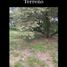  Land for sale in Mazatepec, Morelos, Mazatepec