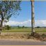  Land for sale in Prambanan, Klaten, Prambanan