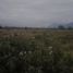  Land for sale in Los Herreras, Nuevo Leon, Los Herreras