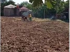  Grundstück zu verkaufen in Gresik, East Jawa, Gresik, Gresik