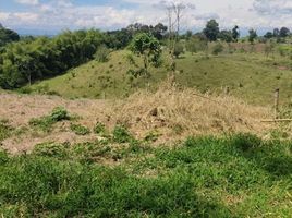  Terreno (Parcela) en venta en Ulloa, Valle Del Cauca, Ulloa