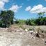 Terrain à vendre à Ixil, Yucatan, Ixil, Yucatan