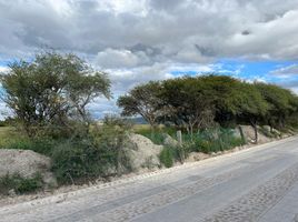  Grundstück zu verkaufen in Allende, Guanajuato, Allende
