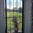  Land for sale in Miacatlan, Morelos, Miacatlan