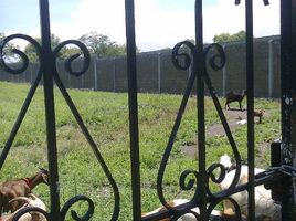 Land for sale in Miacatlan, Morelos, Miacatlan