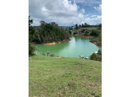  Land for sale in Narino, Antioquia, Narino