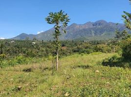  Land for sale in Malang Regency, East Jawa, Lowok Waru, Malang Regency