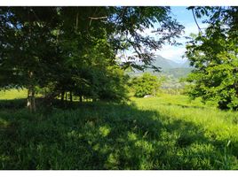  Terrain for sale in Tamesis, Antioquia, Tamesis