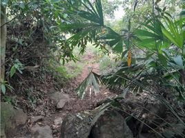  Land for sale in Tamesis, Antioquia, Tamesis