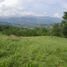  Land for sale in Tamesis, Antioquia, Tamesis