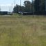  Land for rent in San Pedro Cholula, Puebla, San Pedro Cholula, Puebla