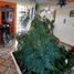 4 Schlafzimmer Haus zu verkaufen in Cuajimalpa De Morelos, Mexico City, Cuajimalpa De Morelos