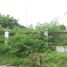  Terreno (Parcela) en venta en Rungkut, East Jawa, Rungkut