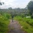  Land for sale in Ubud, Gianyar, Ubud