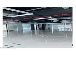 305 m² Office for rent in Alvaro Obregon, Mexico City, Alvaro Obregon