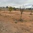  Grundstück zu vermieten in Chihuahua, Chihuahua, Chihuahua, Chihuahua
