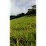  Land for sale in Santiago, Veraguas, Santiago, Santiago