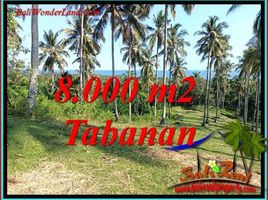  Tanah for sale in Selemadeg, Tabanan, Selemadeg