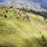  Terreno (Parcela) en venta en Loja, Loja, Loja, Loja, Loja