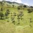  Terreno (Parcela) en venta en Loja, Loja, Loja, Loja, Loja