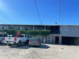 1 Schlafzimmer Appartement zu verkaufen in Tijuana, Baja California, Tijuana, Baja California