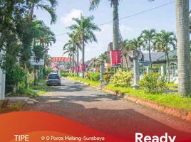 Maison 4 chambre à vendre à Singosari, East Jawa, Singosari