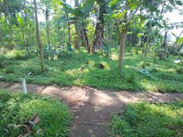  Land for sale in Ngamprah, Bandung, Ngamprah