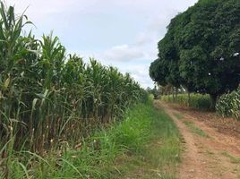  Land for sale in Bukidnon, Northern Mindanao, Manolo Fortich, Bukidnon