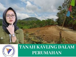  Terrain for sale in Ponorogo, East Jawa, Jenangan, Ponorogo